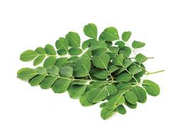 Organic Moringa Powder